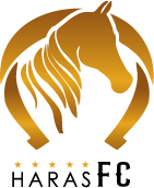 Patrocinador Diamante 11